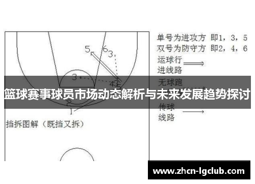篮球赛事球员市场动态解析与未来发展趋势探讨
