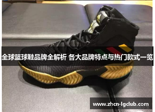 全球篮球鞋品牌全解析 各大品牌特点与热门款式一览