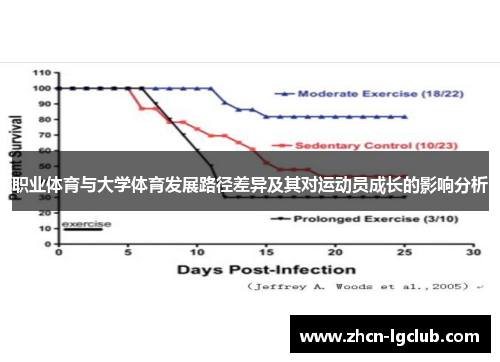 职业体育与大学体育发展路径差异及其对运动员成长的影响分析