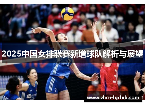 2025中国女排联赛新增球队解析与展望